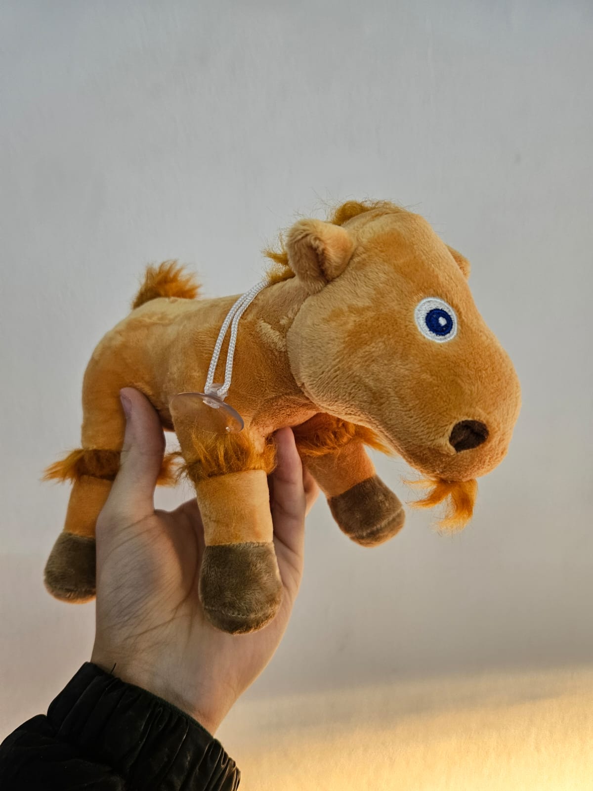 Peluche de caballito